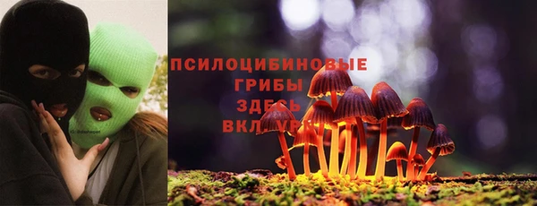 мескалин Бородино